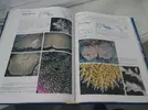 [TodoMarino.com] Corals of the world (corales del mundo) - Málaga