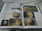 [TodoMarino.com] Corals of the world (corales del mundo) - Málaga