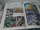 [TodoMarino.com] Corals of the world (corales del mundo) - Málaga