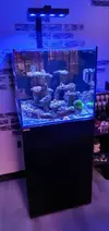 [TodoMarino.com] REBAJADO 600 EUROS Acuario marino cubo 60x60x55 - Petrel(Alicante)