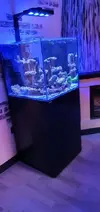 [TodoMarino.com] REBAJADO 600 EUROS Acuario marino cubo 60x60x55 - Petrel(Alicante)