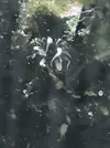 [TodoMarino.com] Alguien sabe q es?