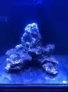[TodoMarino.com] Nuevo cubo reef 125 lts