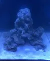 [TodoMarino.com] Nuevo cubo reef 125 lts