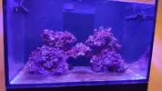 [TodoMarino.com] RedSea Reef 250 + Sump
