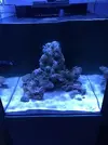 [TodoMarino.com] Nuevo cubo reef 125 lts