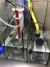 [TodoMarino.com] Nuevo cubo reef 125 lts