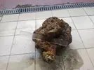 [TodoMarino.com] Roca viva - Rivas Vaciamadrid