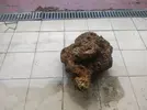 [TodoMarino.com] Roca viva - Rivas Vaciamadrid