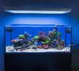 [TodoMarino.com] Desmonto acuario 400l (Madrid) - Madrid