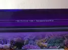 [TodoMarino.com] Pantalla Coral Led de ICA - Madrid