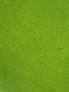 [TodoMarino.com] cultivo casero de rotifero (Brachionus plicatilis)
