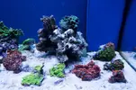 [TodoMarino.com] Desmonto acuario 400l (Madrid) - Madrid