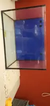 [TodoMarino.com] Vendo Hydra 26 HD y  acuario con sump trasero de 150L - Madrid, carabanchel
