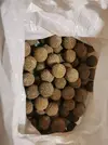 [TodoMarino.com] Bolas MARINE PURE - MALAGA