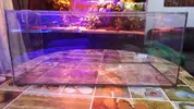 [TodoMarino.com] VENDIDO urna 50 litros - Pinto (Madrid)