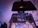 [TodoMarino.com] Inicio acuario marino 32 litros