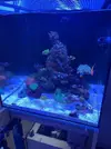[TodoMarino.com] Nuevo cubo reef 125 lts