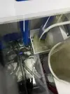 [TodoMarino.com] Nuevo cubo reef 125 lts