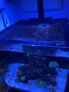 [TodoMarino.com] Nuevo cubo reef 125 lts