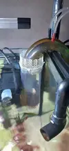[TodoMarino.com] EQUILIBRI 2. AUTOCTONO DEL LITORAL CATALAN.
