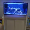[TodoMarino.com] Vendo acuario 250l y vivo por desmonte. Madrid - Madrid