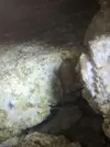 [TodoMarino.com] Me esta matando las ACROPORAS!