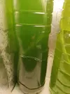 [TodoMarino.com] Fitoplancton (nannochloropsis y tetraselmis). Sevilla y envío - Dos Hermanas, Sevilla