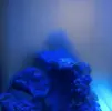 [TodoMarino.com] El Reef de Little