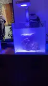 [TodoMarino.com] Primer Acuario Marino