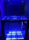 [TodoMarino.com] Acuario 300litros - Madrid