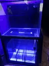 [TodoMarino.com] Acuario 300litros - Madrid