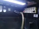 [TodoMarino.com] Acuario 300litros - Madrid