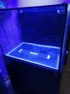 [TodoMarino.com] Acuario 300litros - Madrid