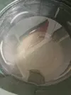 [TodoMarino.com] Q molusco o caracol es? Y anemona