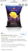 [TodoMarino.com] Q molusco o caracol es? Y anemona