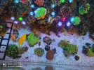 [TodoMarino.com] Corales, peces y equipos varios - Valencia