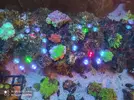 [TodoMarino.com] Corales, peces y equipos varios - Valencia
