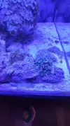 [TodoMarino.com] Nuevo con 80l