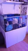 [TodoMarino.com] REGALO Acuario 110x80x55cm - Madrid (Pueblo Nuevo)