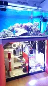 [TodoMarino.com] REGALO Acuario 110x80x55cm - Madrid (Pueblo Nuevo)