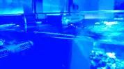 [TodoMarino.com] RedSea Reef 250 + Sump