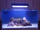 [TodoMarino.com] Arrancando 230l+80l ayuda!!!