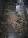 [TodoMarino.com] Venta de Acuario - Cáceres