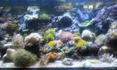 [TodoMarino.com] Venta de Acuario - Cáceres