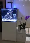[TodoMarino.com] Red Sea Refeer 170 blanco