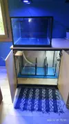 [TodoMarino.com] Acuario + Sump