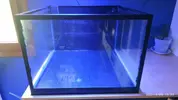 [TodoMarino.com] Acuario + Sump