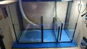 [TodoMarino.com] Acuario + Sump