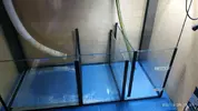 [TodoMarino.com] Acuario + Sump